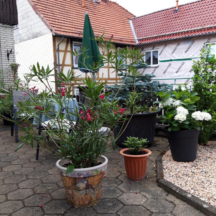 וולפסהאגן Ferienwohnung Am Berge מראה חיצוני תמונה